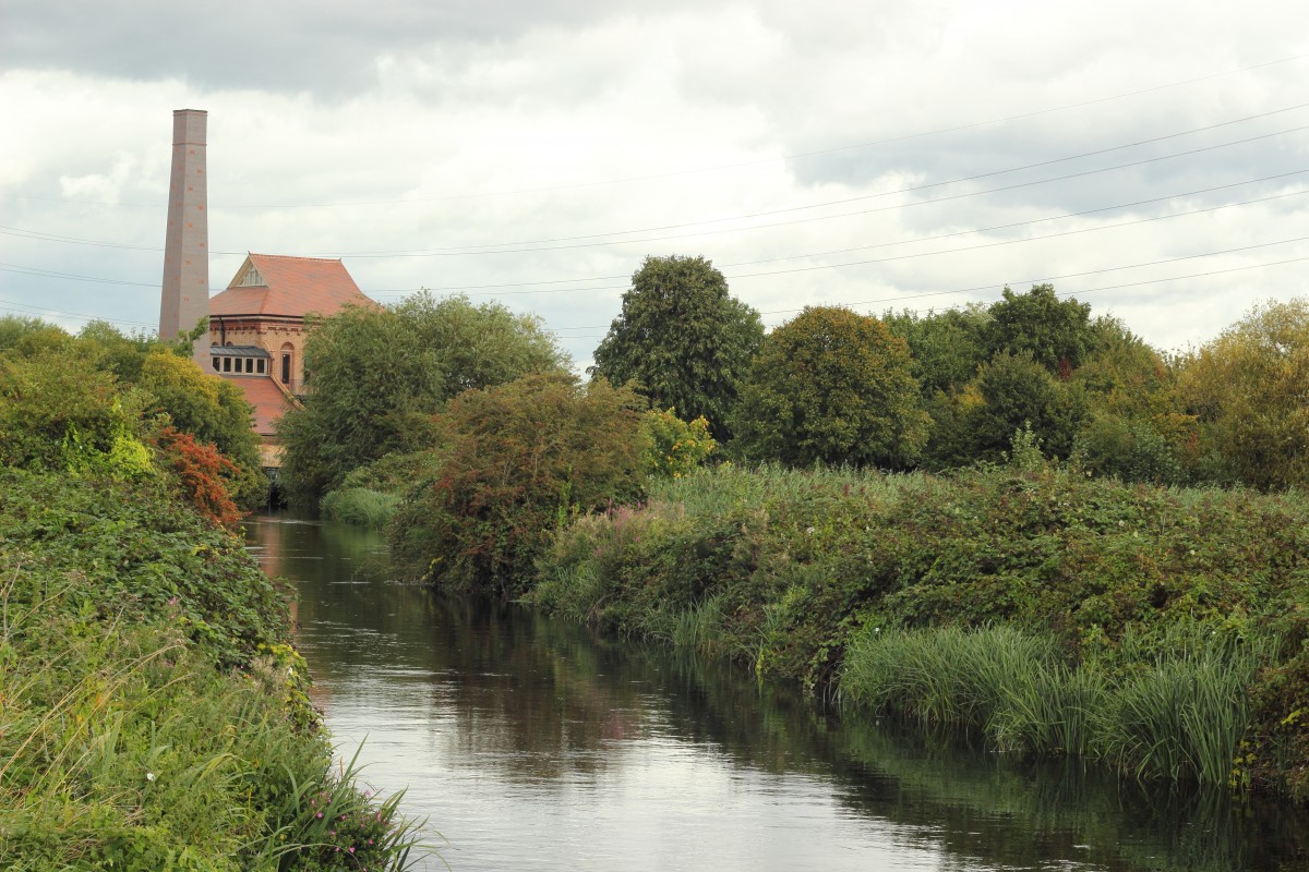 Image for Walthamstow Wetlands 